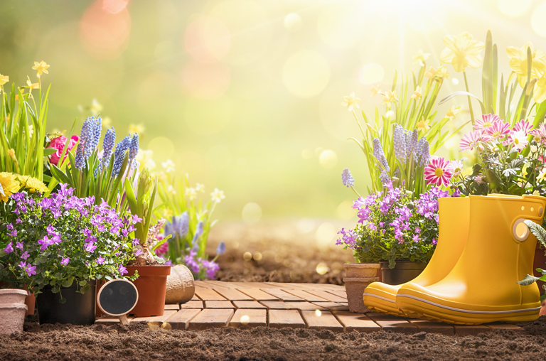 Frühling mit EDEKA Nils Meyer