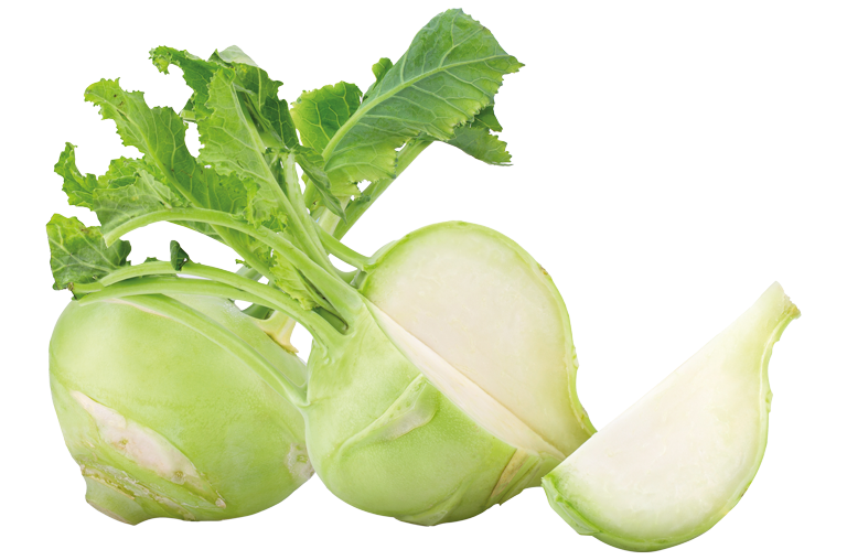 Fenchel Gemüseblätter, freigestellt