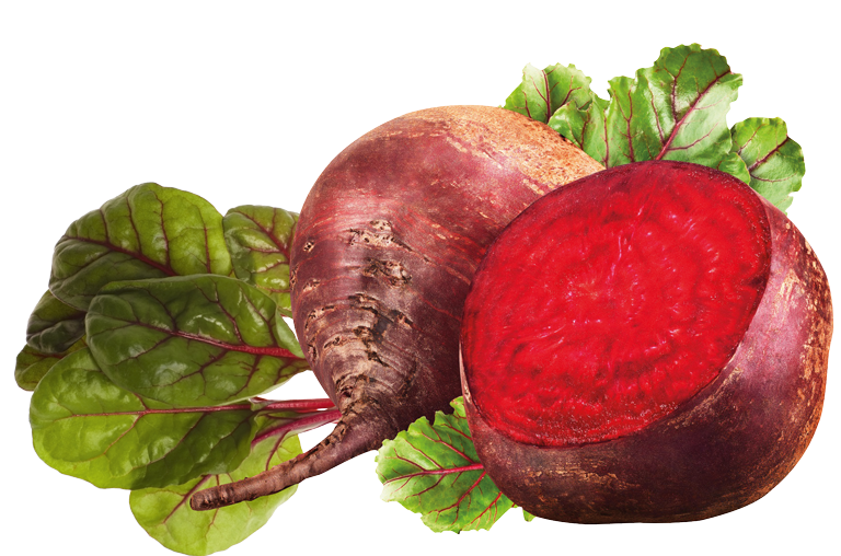 Rote Bete Gemüseblätter, freigestellt