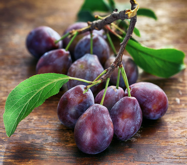 Pflaumen am Ast, Ähnlich der Zwetschgen, EDEKA Nils Meyer