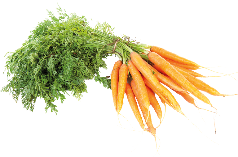 Möhren Gemüseblätter, freigestellt