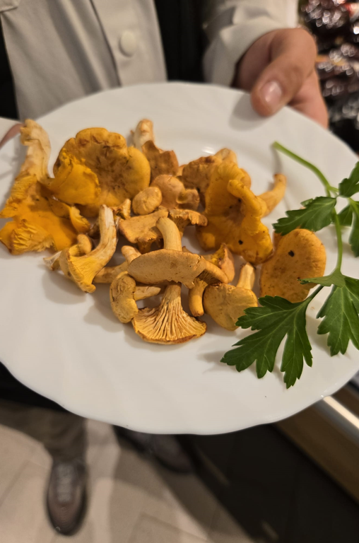 Frische Pfifferlinge bei EDEKA Nils Meyer