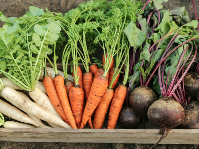 Gemüseblätter – ein übersehener Schatz