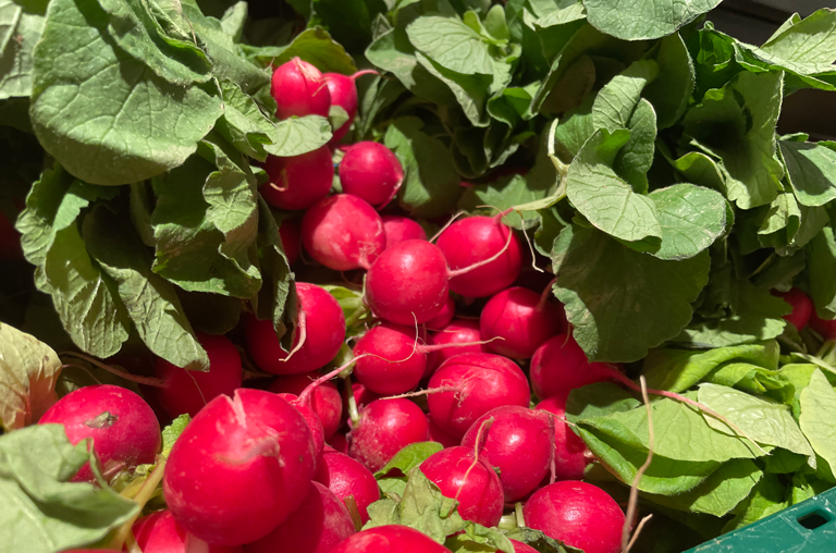 Radieschen Auslage