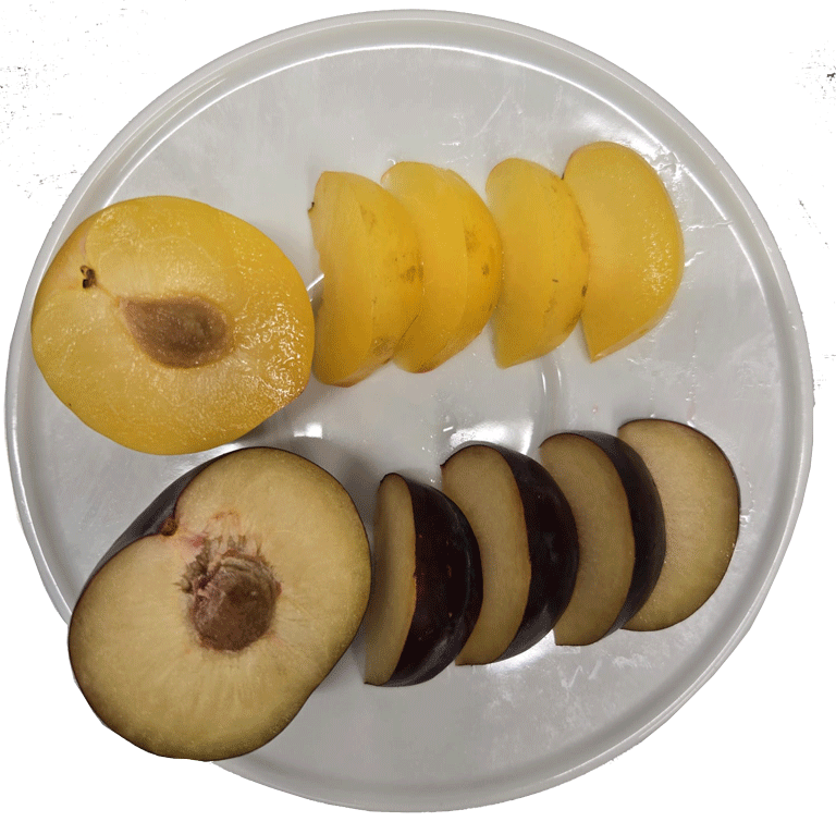 Zwetschgen roh genießen