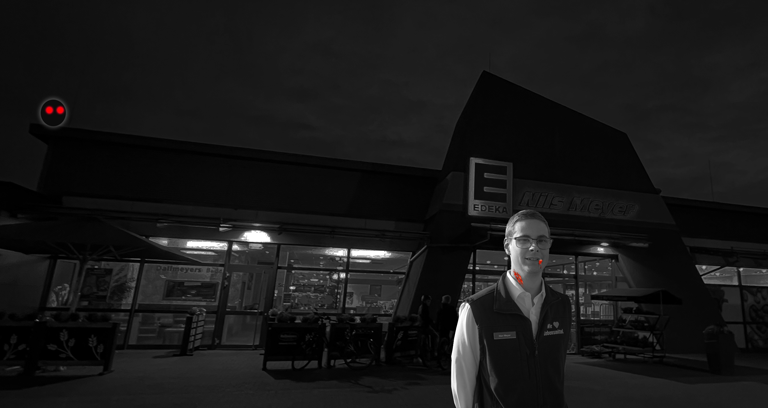 Halloween 2025 Meyer