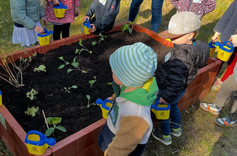 Gemüsebeete für Kids