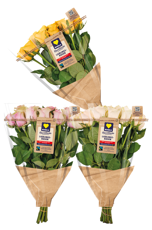 EDEKA Herzstücke Rosen