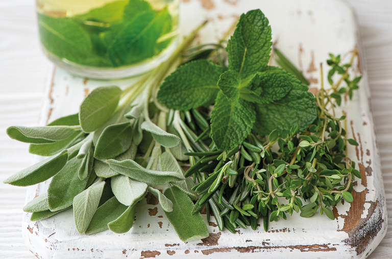 Petersilie Salbei und Thymian