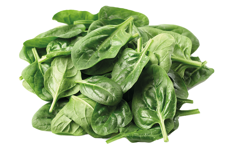 Eier färben mit Spinat