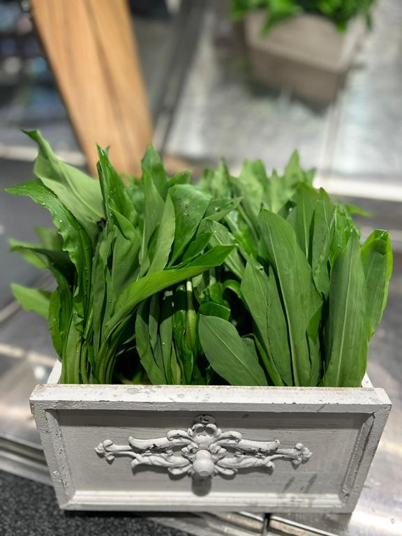 Bärlauch im Nils-Meyer-Markt