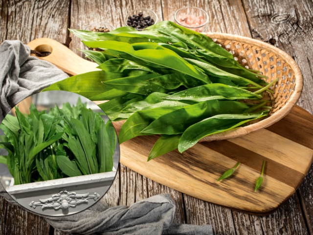 Wenn der Frühling nach Grün duftet