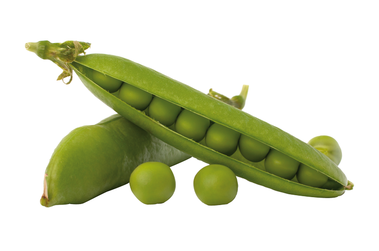 Erbsen haben Umami