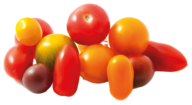 Tomaten Cherrytomaten