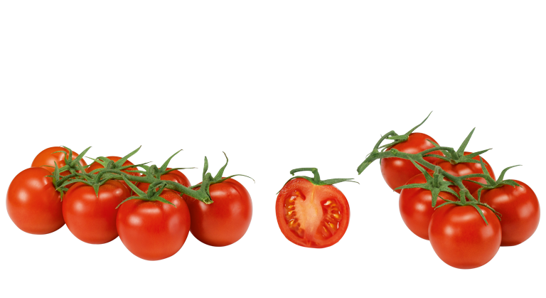 Tomaten Cocktailtomaten
