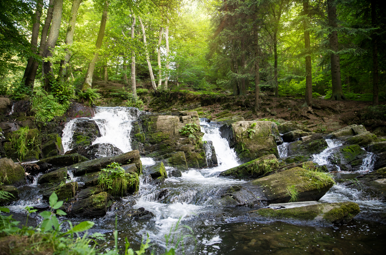 Wasserlauf