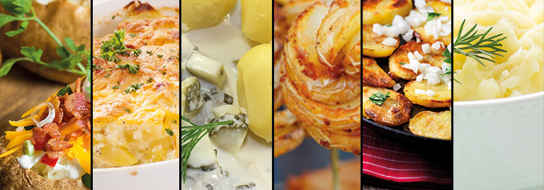 diverse Rezepte für Kartoffeln in Collagediverse Rezepte für Kartoffeln in Collage