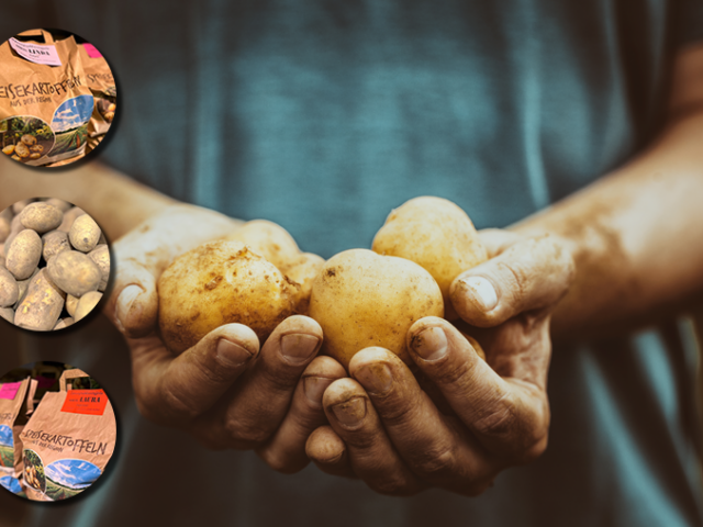 Kartoffeln neu gedacht –Jahrtausende alt und doch im Trend